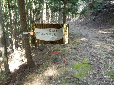 ここで左に折れるんだけど、この木に書かれた森林センターの目印を見失わないように注意。ちなみにこのまま真っすぐいくと最初の林道に戻って遠回りになる