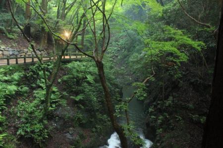 暗くなってきたがそれもまた絵になっている