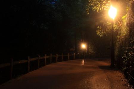 電灯と滝道もまたいい感じ