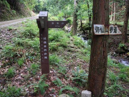 弥仙山まで2.1kmとまあ1時間ちょっとで登れそうな感じはする