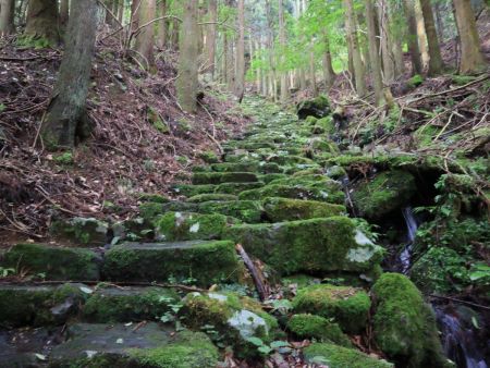 この石の階段が結構長くて体力がやられてしまった