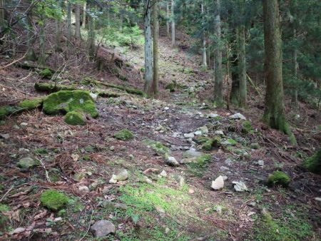 ここから沢筋から離れる。こういったガレ場のある登山道がひたすら続いた