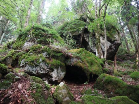 すごい巨岩があって何か祀られているようだった。苔むした大きな岩で珍しかった