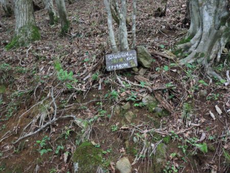 弥仙山の頂上近しというプレートがあった。ガンバレと書かれていて頑張るぞ！って思いながら登った