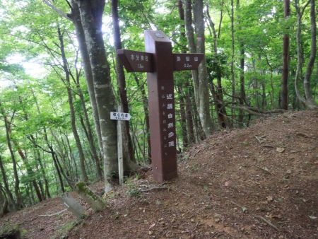 弥仙山まであと0.2kmのところまできた。この0.2kmがどんな感じなのか予想ができなかった