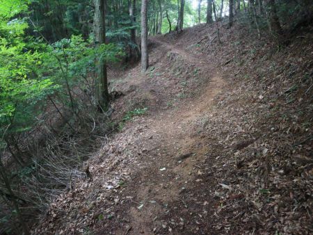 ここで右側に登っていく。直進すると周回ルートになると思われる