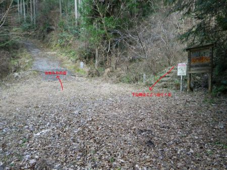 ここも分岐になっているが、最初は直進しておおたわの谷を目指す。後でわかるけど今回は右側から下ってくることになる