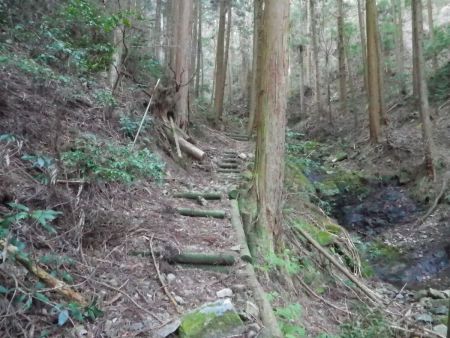 国土地理院地図の破線があるので正規ルートなんだけど、沢筋でもちゃんと整備された登山道になっている