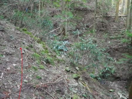 ここで分岐になっているけど右側に階段がある。ところが地図では沢の本筋からズレたらだめなので直進が正解。階段のほうへ行ってもどこかの稜線には出そうな気はするけどね
