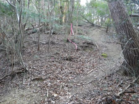 谷のルートに比べて尾根道は非常に歩きやすい。三峰山の山頂は一旦登って10mほど下って、さらに10mほど登ったところなはず