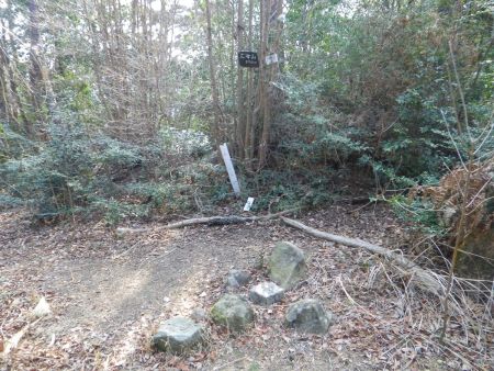 三峰山の山頂に到着。狭いピークだけど三角点だけはちゃんとあった