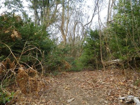 さて、少し休憩したので尾根を戻って今度は城ヶ峰を目指すことにする