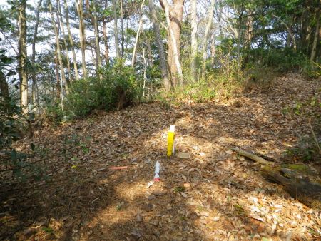 ここは尾根の分岐になってるけど、方角や踏み跡から考えて右が正解。左の尾根は下りになっていて違う場所へ下っていっている