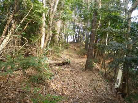 三峰山から城ヶ峰の尾根道はこまめなアップダウンはあるものの、なだらかで歩きやすく疲れない