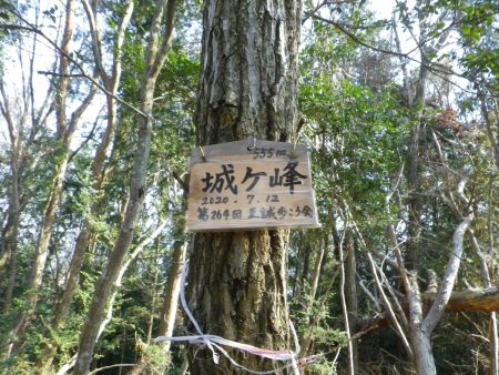城ヶ峰(555m)の山頂プレートは将棋のコマみたいな形になってる。三角点などないし、山頂というより通り道にある感じだった