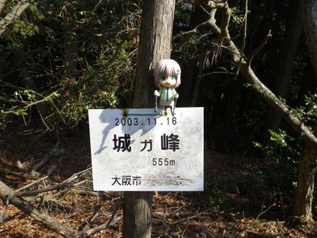 城ヶ峰でも別の山頂プレートで雪村あおいちゃんを撮影しておいた。標高が555mと5が3つ並んで縁起が良さそう