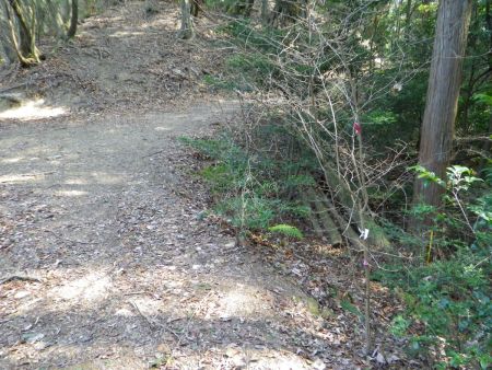 ここで右手にテープが巻いてある。ここで沢筋に下って谷のルートを行けばかなり距離はショートカットされる。まあせっかくなのでバリルートを歩くつもりで右の谷へ下りてみることにした。国土地理院地図には破線があるんだけどね