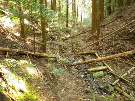 沢筋をひたすら下っていくんだけど、テープのないところでも歩きやすいところを下っていけばいい。とにかくこのまま沢筋を下っていけば林道に出るのは間違いない