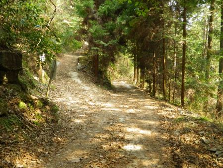 近畿自然歩道との分岐のところまで下ってきた。沢筋を下ったことでかなり距離はショートカットできたはず。まともに近畿自然歩道で下っているともっと時間がかかったと思う