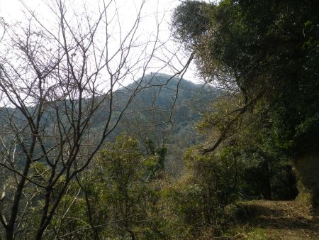 林道を歩きながら振り返ると山が見えたけど、あのピークが三峰山なのかな！？方角的にはそうなんだけど違うかもしれない