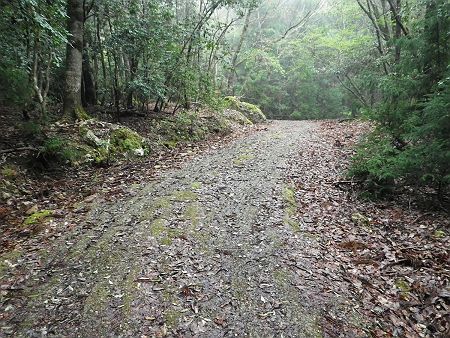 道路から舗装道になるが、この先まで車で行けそうだった