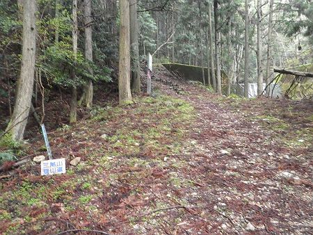 ここで舗装道が終わっていよいよ登山道になる