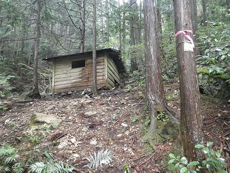 先に進むともう一つ小屋があったが中はボロボロだった。ちなみに登山道は小屋のほうではなく右手の沢筋が正規ルート