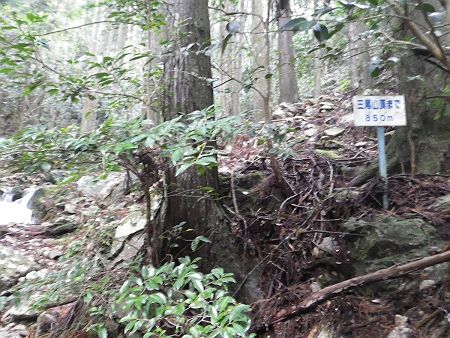 三尾山頂まで850m地点。この付近から沢の水量が多くて滑りやすかった