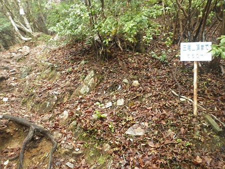 三尾山頂まで550m地点で息切れしたので少し立ち休憩。その後はペースダウンをしてゆっくりと登っていくことにした