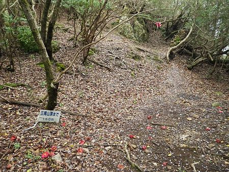 西峰を本峰のほうに下っていくと、ちょうど三尾山頂まで150m地点だった。いよいよ最後の登りとなる