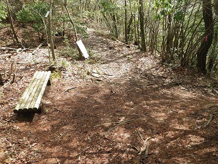 稜線の分岐まで早く到着した。ここから沢筋にでるまでの急登地点の下りが滑りやすく苦労した