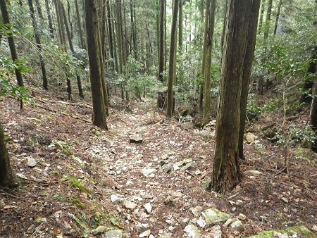 滑りやすい登山道が終わって沢筋まで下ってきた。ここからは水量の多い沢に注意しながら下山していく