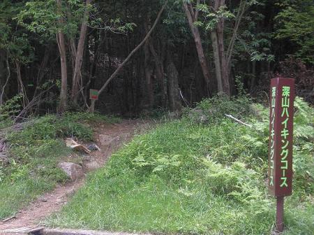 ここから入山していく。道標があるのでわかりやすい