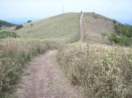 歩いていて気持ちの良い稜線といった感じ
