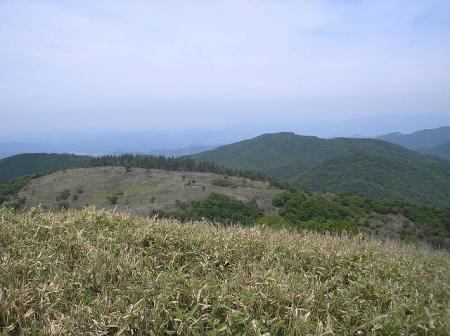 高原地帯といえばいいのかひたすら続いている感じがした