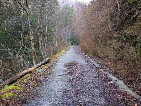 ここの林道も意外と長いんよね。登山道までの道のりは長い