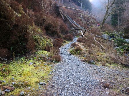 この辺りから登山道へ入っていく