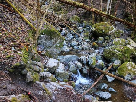 これいつもの沢を渡るんだけど滑るのが怖いんだよね