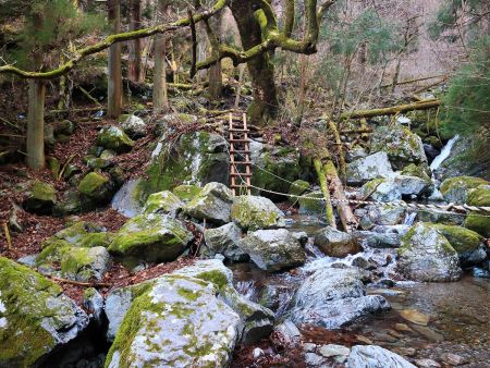 またまた沢を渡ってハシゴを登る。ここはよく覚えている
