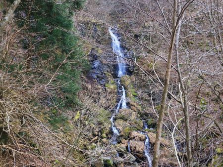 これが明神滝かな。寒波で積雪の時は付近の滝は凍っていたような気がするんだけど、これは凍ってなかったかな