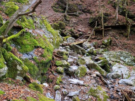 木の橋が親切にあるんだけど、この木が結構滑るんだよね。慎重に渡っていく