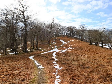 ちょっとした雪道があるけど、みんな雪を避けて歩いてるような感じだった