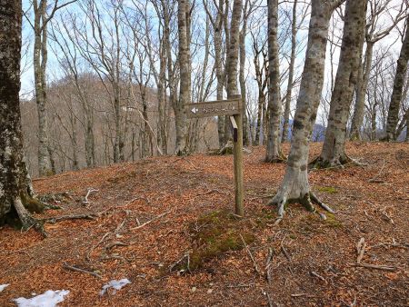 明神岳から少し進むと道標があって桧塚奥峰のほうへ左へ下っていく