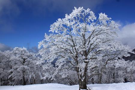 しばらく青と白のコントラストを撮影したおす
