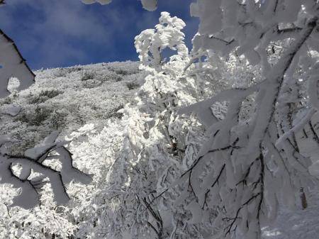 まだ撮影する。樹氷はこれからだ！