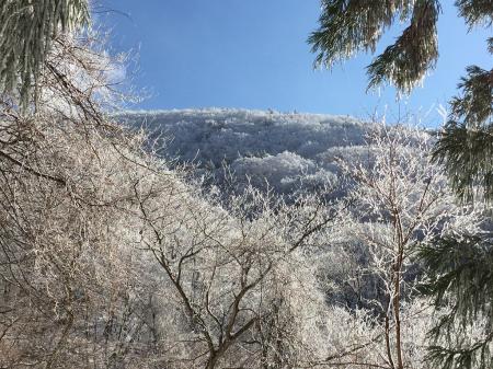 やっぱこの晴天と白銀は名残惜しいと思いながら下る