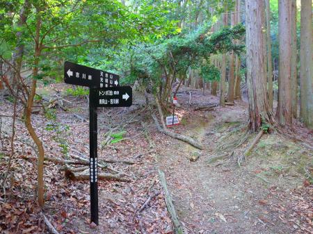 分岐はあるけどしっかり道標がある。ここは天台山のほうへ進む