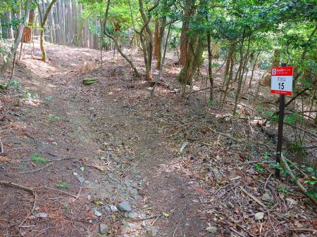 この通報ポイント15番まで来るとあともう少しで天台山。通報ポイント16番が天台山の直下になる
