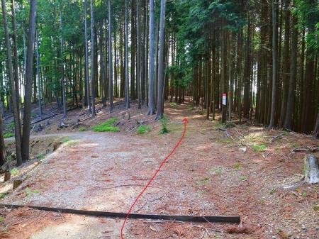 さっきの広い道の分岐に出て左へ下っていくと右手に登山道がある。左を下ってもいけるけど地図に従って直進する