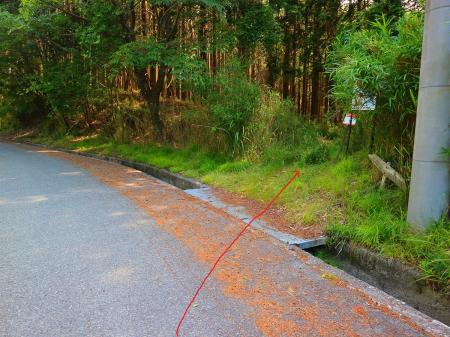 ここで道路から右手の登山道へ入る